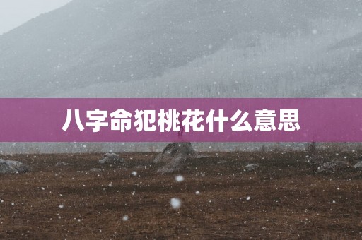 八字命犯桃花什么意思