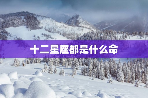 十二星座都是什么命