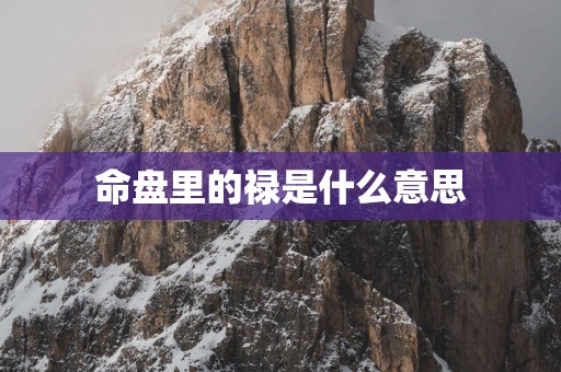 命盘里的禄是什么意思