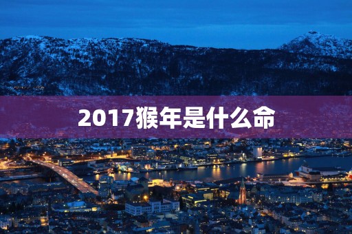 2017猴年是什么命