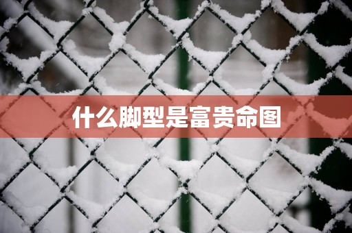 什么脚型是富贵命图