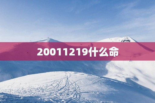 20011219什么命