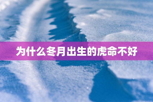 为什么冬月出生的虎命不好