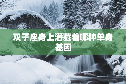 双子座身上潜藏着哪种单身基因