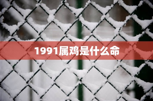 1991属鸡是什么命