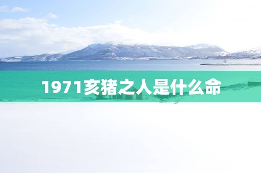 1971亥猪之人是什么命