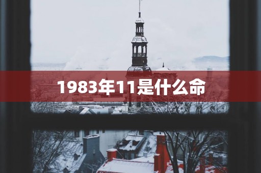 1983年11是什么命