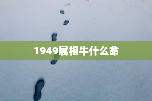 1949属相牛什么命