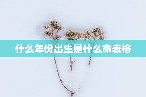 什么年份出生是什么命表格