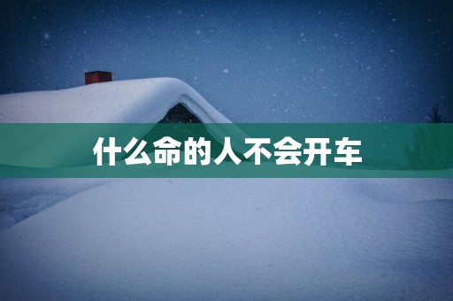 什么命的人不会开车