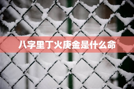 八字里丁火庚金是什么命