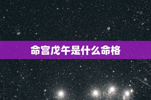 命宫戊午是什么命格
