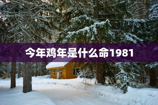 今年鸡年是什么命1981