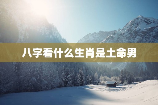 八字看什么生肖是土命男
