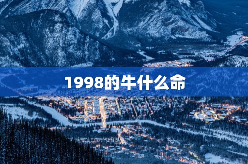 1998的牛什么命