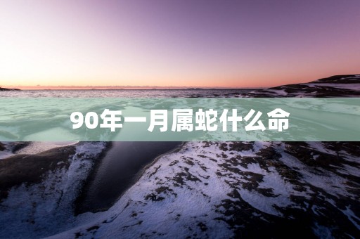 90年一月属蛇什么命