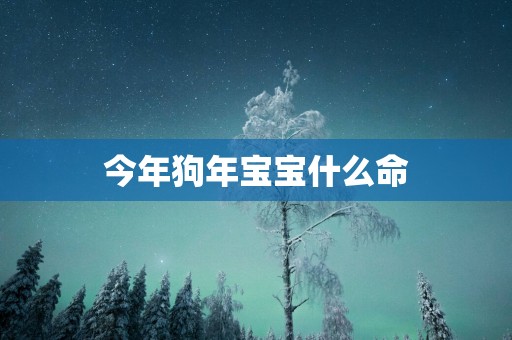 今年狗年宝宝什么命