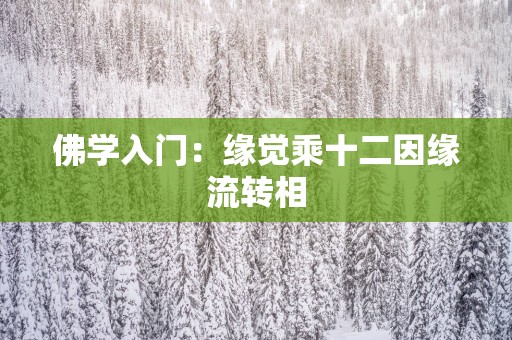 佛学入门：缘觉乘十二因缘流转相