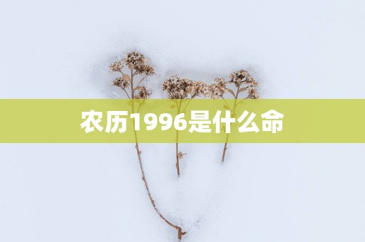 农历1996是什么命
