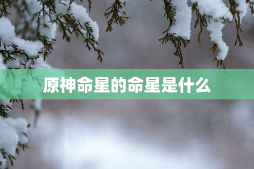 原神命星的命星是什么
