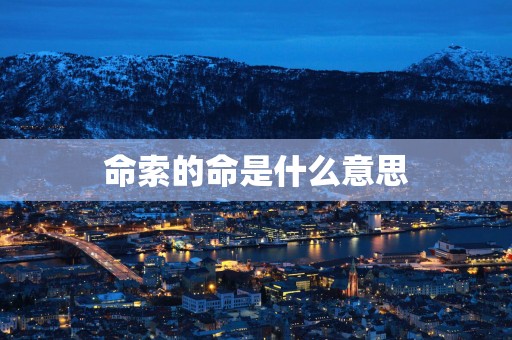 命索的命是什么意思