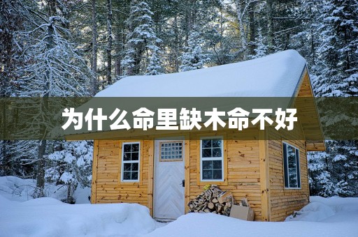 为什么命里缺木命不好