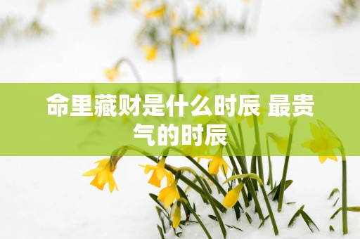 命里藏财是什么时辰 最贵气的时辰