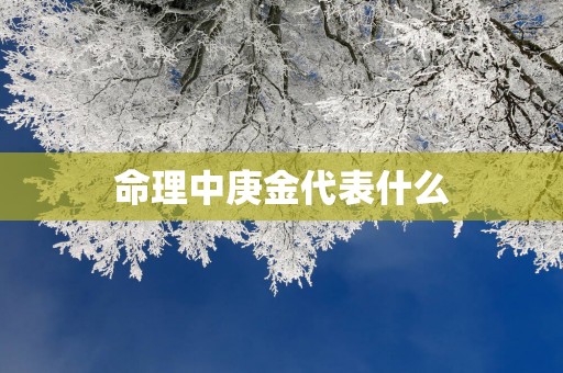 命理中庚金代表什么