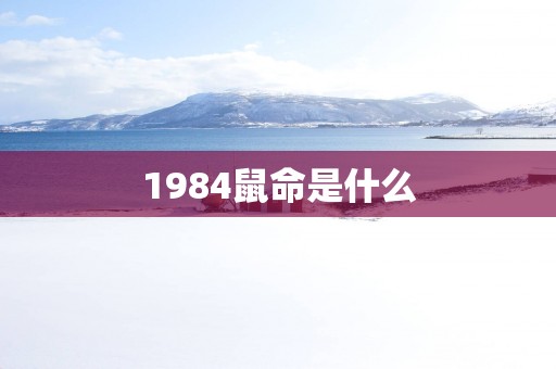1984鼠命是什么