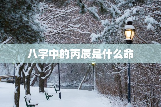 八字中的丙辰是什么命