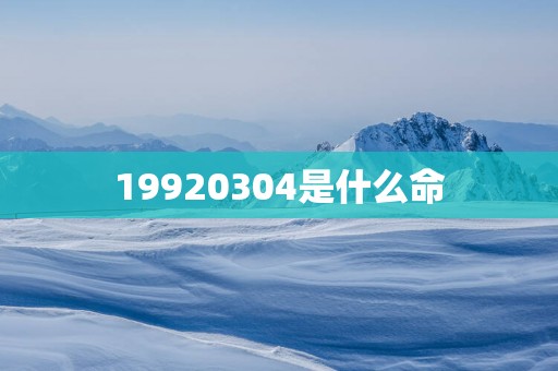 19920304是什么命