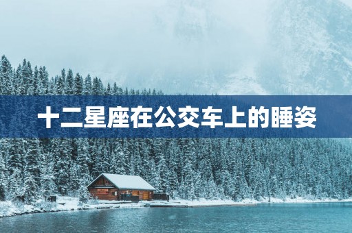 十二星座在公交车上的睡姿