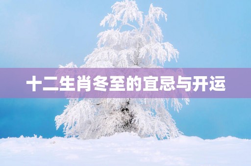 十二生肖冬至的宜忌与开运