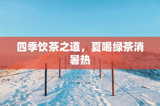 四季饮茶之道，夏喝绿茶消暑热