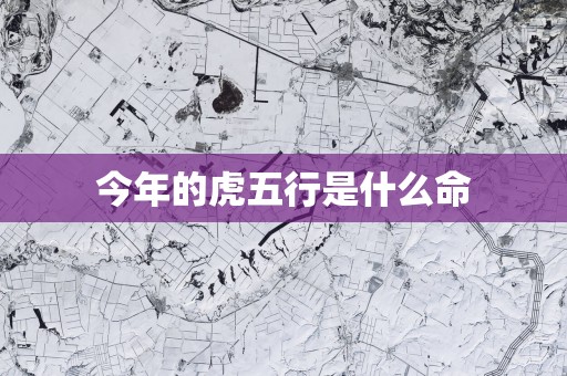 今年的虎五行是什么命