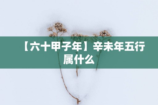 【六十甲子年】辛未年五行属什么