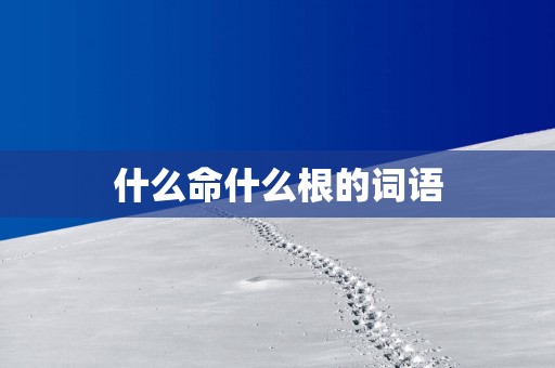 什么命什么根的词语