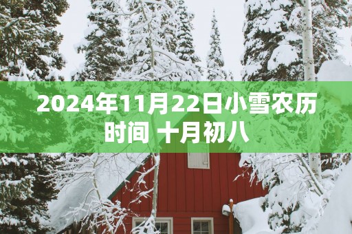 2025年11月22日小雪农历时间 十月初八