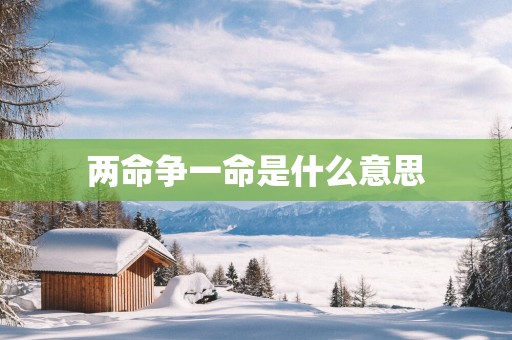 两命争一命是什么意思