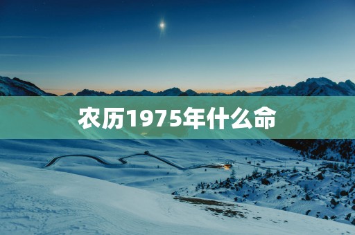 农历1975年什么命