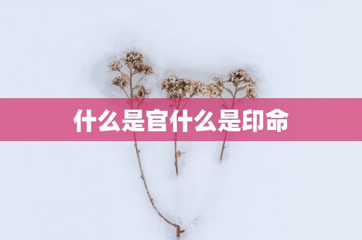 什么是官什么是印命