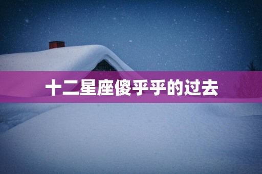 十二星座傻乎乎的过去