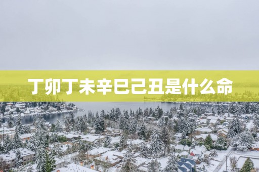 丁卯丁未辛巳己丑是什么命