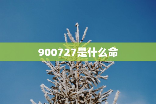 900727是什么命