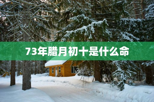 73年腊月初十是什么命