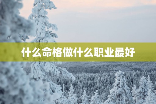 什么命格做什么职业最好