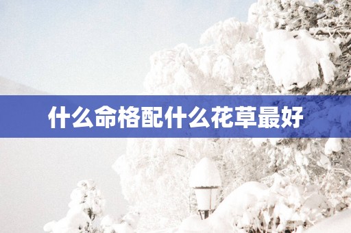 什么命格配什么花草最好