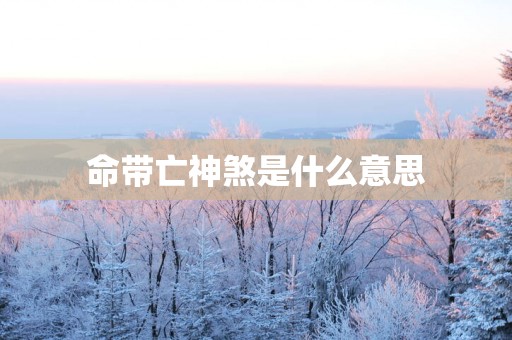 命带亡神煞是什么意思