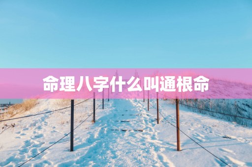 命理八字什么叫通根命