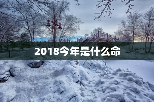 2018今年是什么命